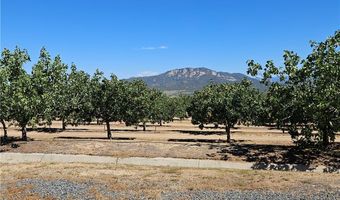 43175 Brownie St, Aguanga, CA 92536