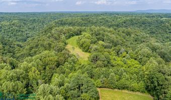 Tract # 16 Willis Creek, Albany, KY 42602