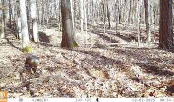 504 247 Country Rd, Bruce, MS 38915