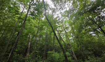 1542 Wellman Dr, Brookhaven, MS 39601