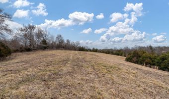 Smithtown Road, Afton, TN 37616