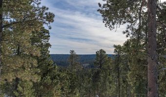 21376 Hedgehog Ln, Deadwood, SD 57732