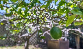 94 Mehani Pl, Kihei, HI 96753