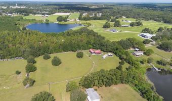42415 BIG OAK Rd, Altoona, FL 32702