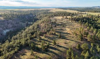 NHN Tongue River Rd, Ashland, MT 59003