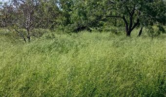 364 Deer Meadows Dr Lot 24, Alice, TX 78332