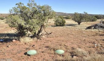 29 A N8478, Concho, AZ 85924