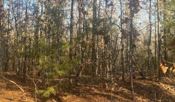 TBD CR 4507, De Kalb, TX 75559