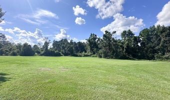 825 Springhill Rd, Alamo, GA 30411