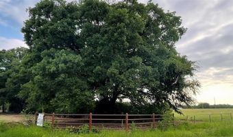 Lot 6 COUNTY ROAD 1560, Alba, TX 75410