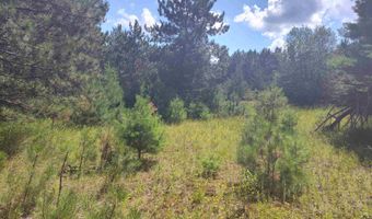 Lot 114 County Road Z, Arkdale, WI 54613