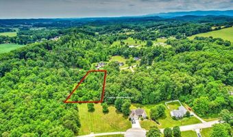 Stone Ridge Drive, Andersonville, TN 37705