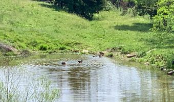 700 Cedarmore Rd, Bagdad, KY 40003