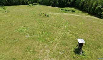 120 Carnes Chapel Rd, Attalla, AL 35954