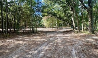 SW 20th St, Bell, FL 32619