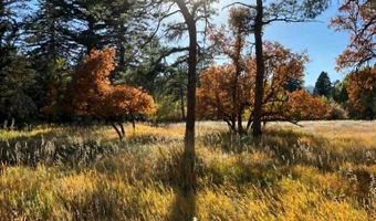 6174 Pennsylvania Ave, Beulah, CO 81023