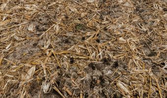 0000 730 Rd, Auburn, NE 68305