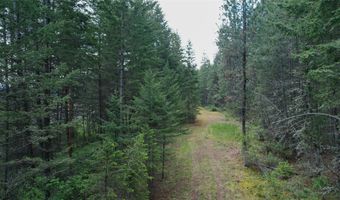 Nhn US Hwy 93, Big Arm, MT 59910
