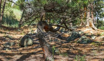 375 Arroyo Chico, Boulder, CO 80302
