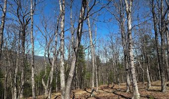 393 SPITZ Ln 99, Basye, VA 22810