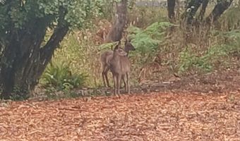 20055 NW Pihl Rd, Banks, OR 97106