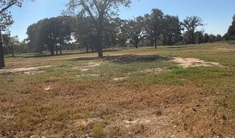 5047 N FM 17, Alba, TX 75410