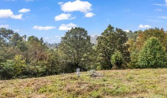 19 Woodchuck Cove Way, Alexander, NC 28701