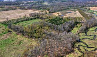 V/L W Chicago Road, Allen, MI 49227