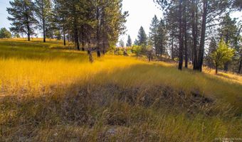 0 Summitview Dr, Ahsahka, ID 83520