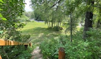 209 Deer Path Ln Lot 9, Almont, CO 81230
