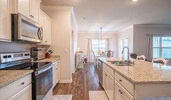 16246 Water Mill Rd, Athens, AL 35613