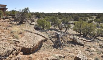 12 County Rd N8543, Concho, AZ 85924