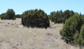 80 County Road 8620, Concho, AZ 85924