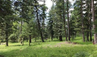 Nhn Black Wolf Trail, Bigfork, MT 59911