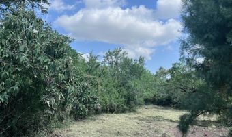 113 Sidbury Ave Lot 4, Alice, TX 78332