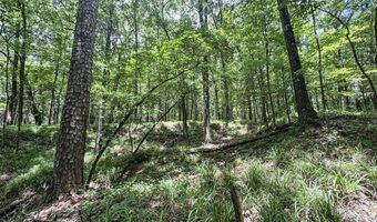 Pine Lodge Road, Batesville, MS 38606