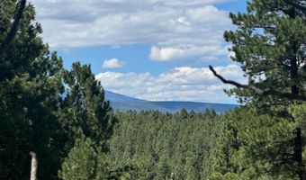 Lot 459 San Mateo, Angel Fire, NM 87710