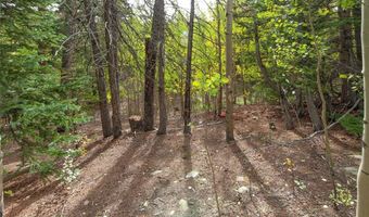452 QUARTZVILLE Rd, Alma, CO 80420
