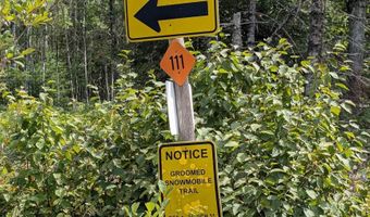 33 Acres Off Net Riv, Amasa, MI 49903