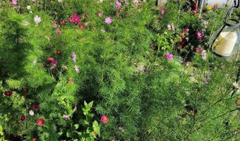 1603 S Campground S 97, Beaver, UT 84713