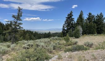LOT 6 STONEGATE DRIVE, Afton, WY 83110
