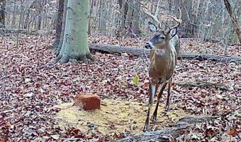 74521 Lively Ridge Rd, Albany, OH 45710