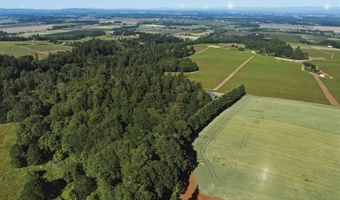 22000 SE Upper Matthews Creek Ln, Amity, OR 97101