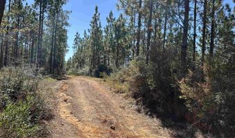 25001 Highway 112, Bay Minette, AL 36507