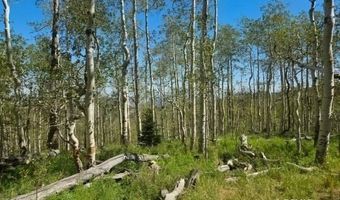 40 Acres Summit Mountain Rd, Brian Head, UT 84719
