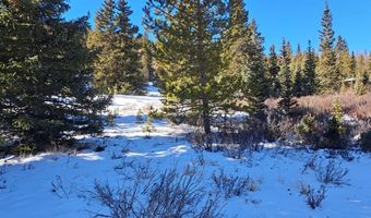 3553 RIVER Dr, Alma, CO 80420