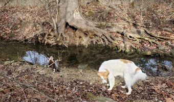 4775 S 50th Rd, Aldrich, MO 65601