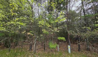 S Badger Lane lot 39, Arkdale, WI 54613
