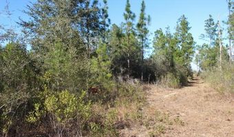 5015 NW County Road 274, Altha, FL 32421