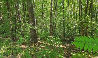 0 Lawson Federal, Ball Ground, GA 30107